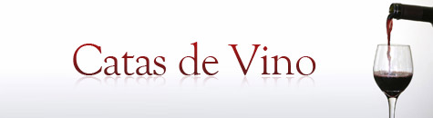 Cata de Vino Cata de Vino