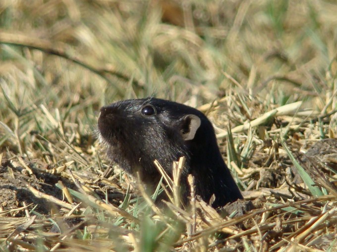 5205007576_ae09f85f70_b