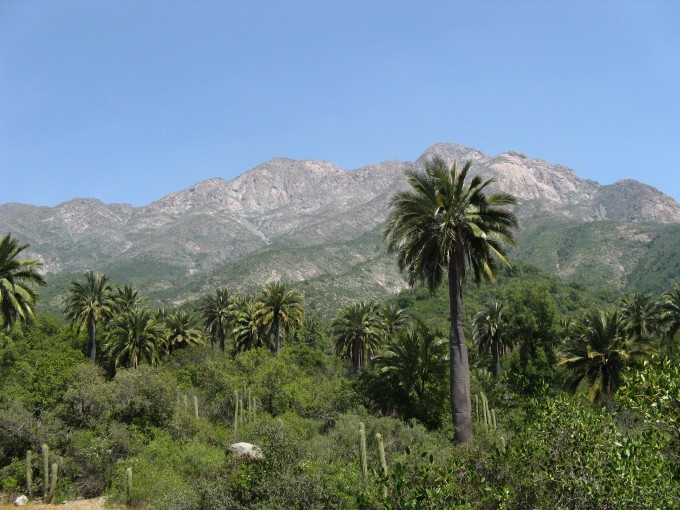 parque-nacional-la-campana