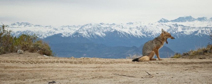 10687151_10205446101056798_532876457721730300_n