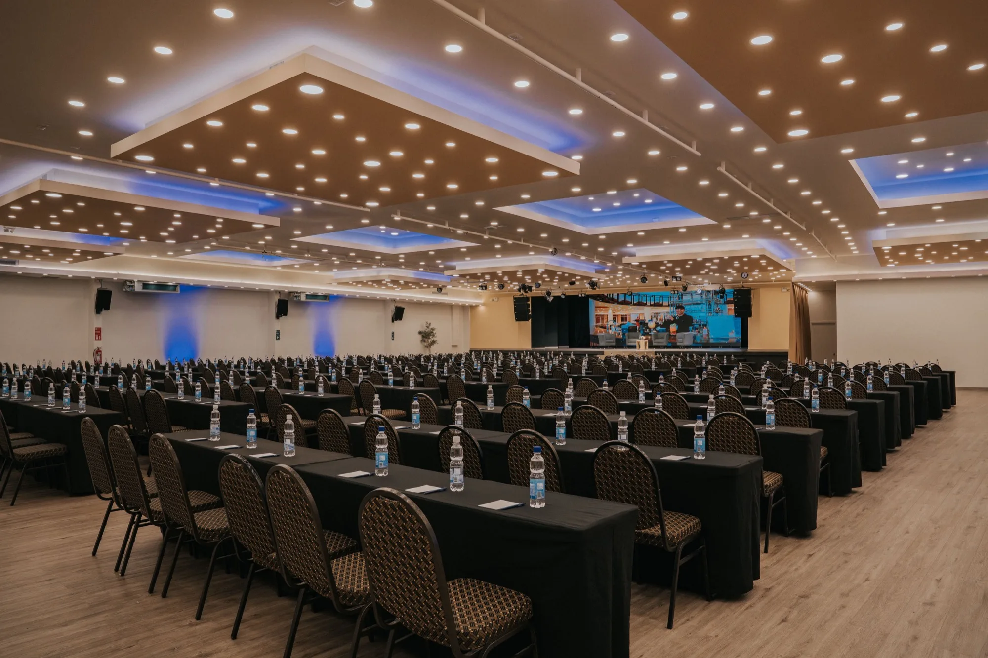 Rosa Agustina Convenciones