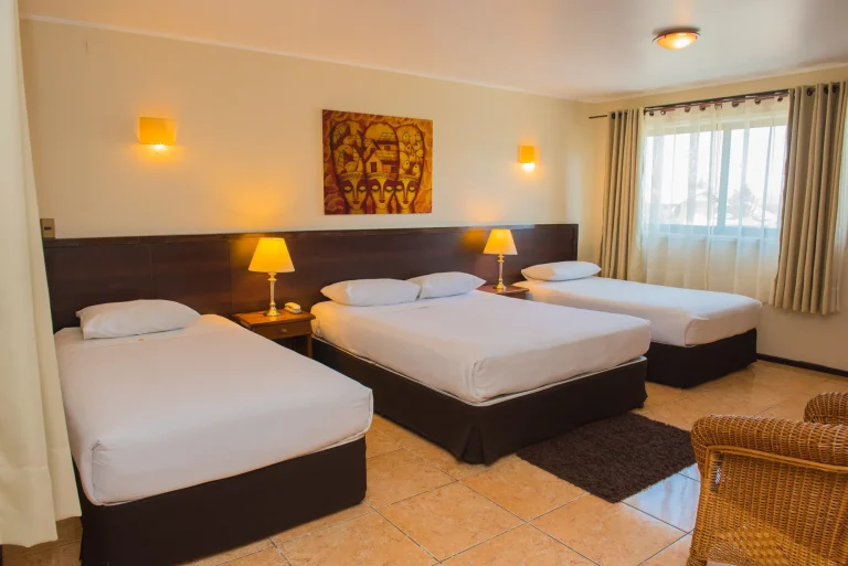 Habitación en Rosa Agustina Club, Olmué